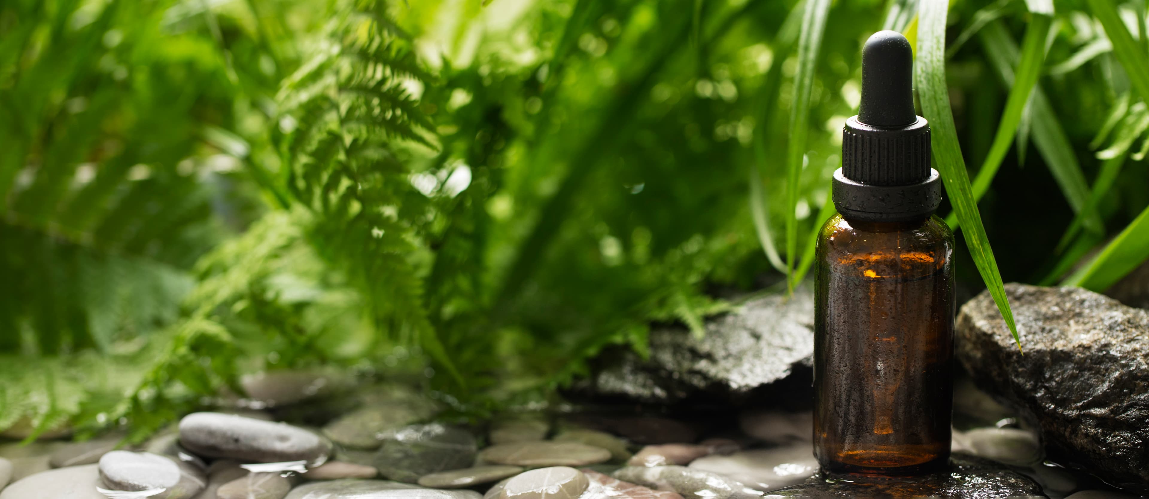 The Healing Power of Nature